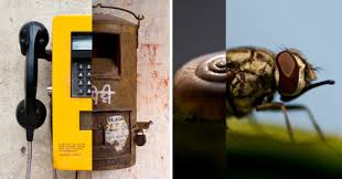 Graphic Designing Course in Noida 16 combining objects