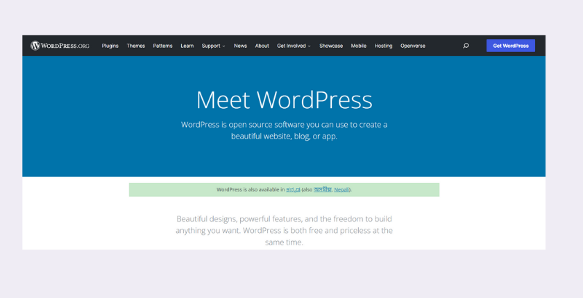 Wordpress cms