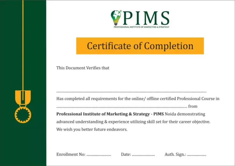 Why Choose PIMS For Digital Marketing Certification Course